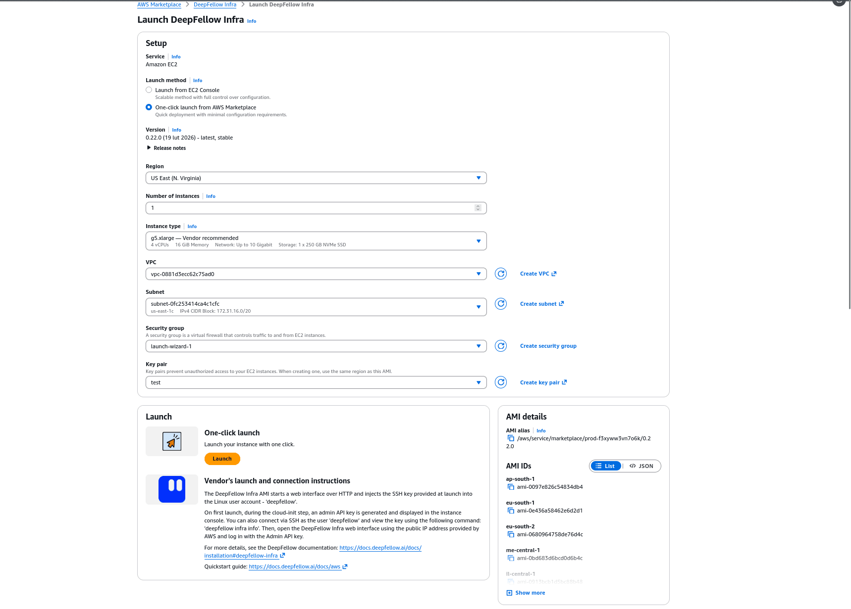 Launch view for DeepFellow Infra