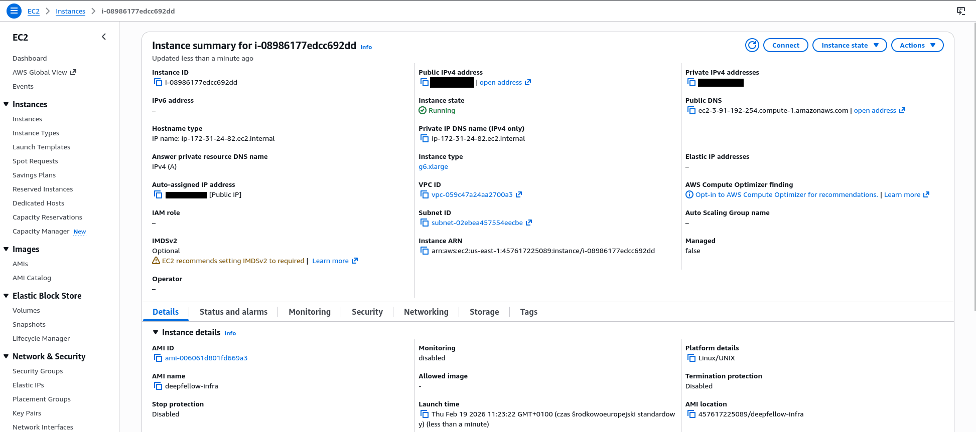 Instance panel with IDs, IPs, subnets and tabs: Details, Status, Monitoring, Security, Networking, Storage, Tags.