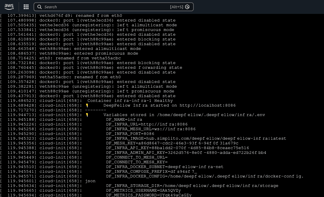 Console with DeepFellow Infra bootstrap process finished. Env variables are shown.