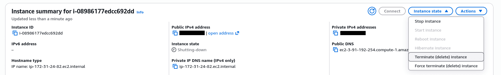 Instance summary panel with instance state button and "Terminate (delete) instance" option.
