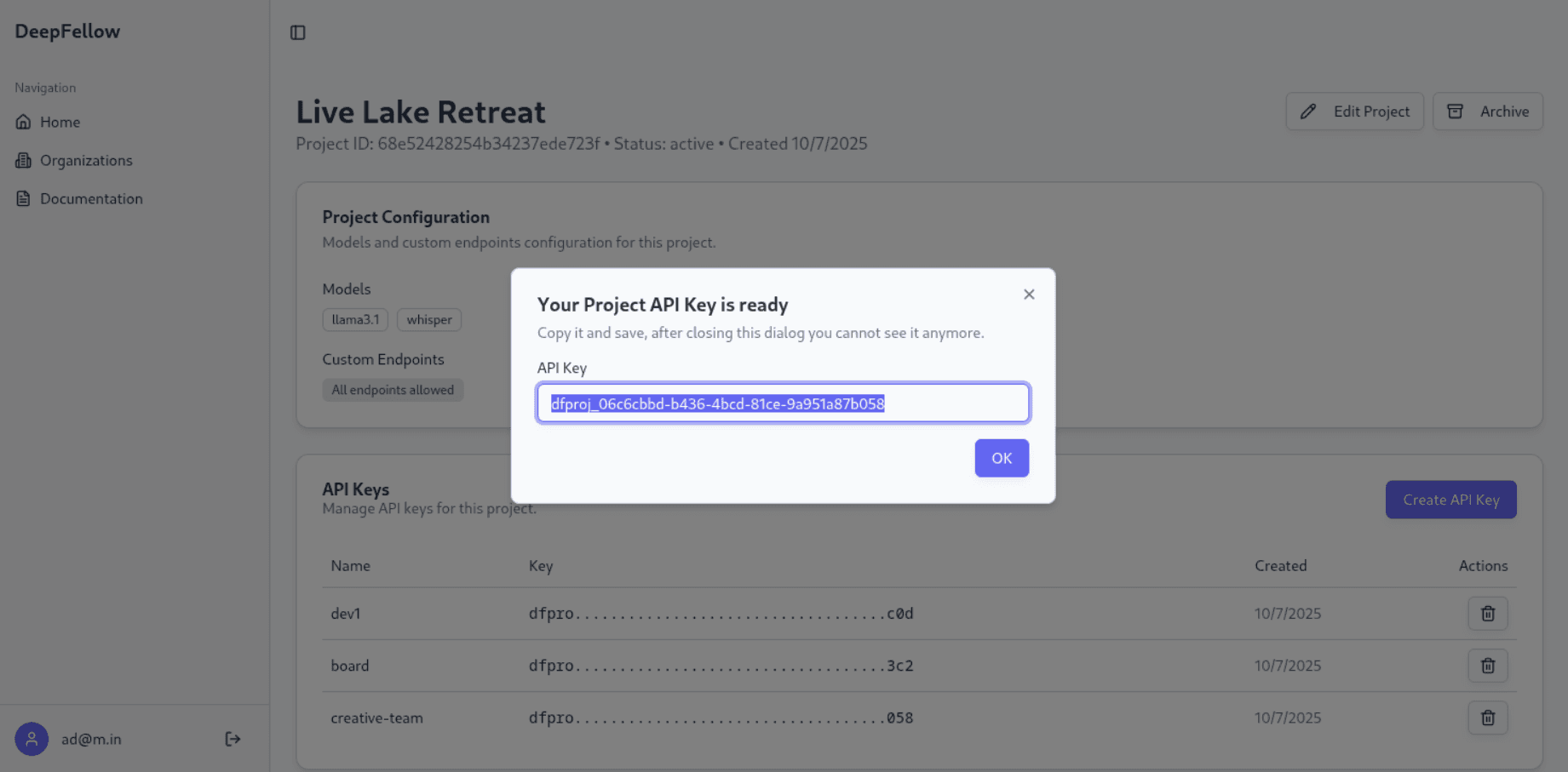 pop-up window with a generated example project API Key