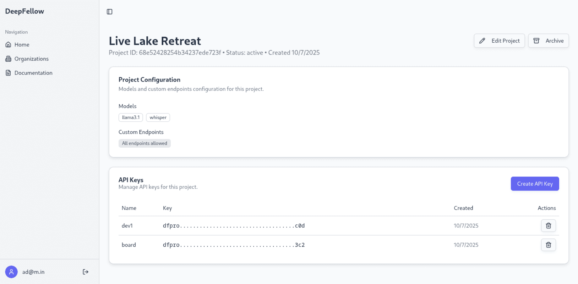 example project page with info about models, custom endpoints and API Keys